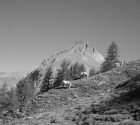 mont